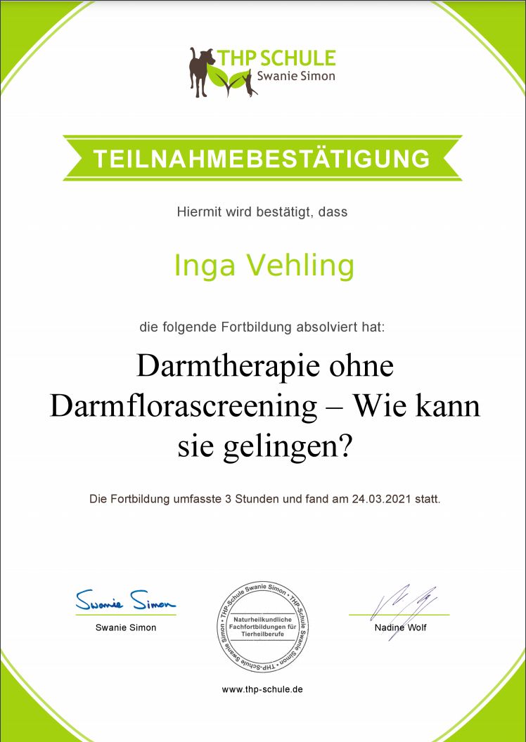 Darmtherapie ohne Darmflorascreening