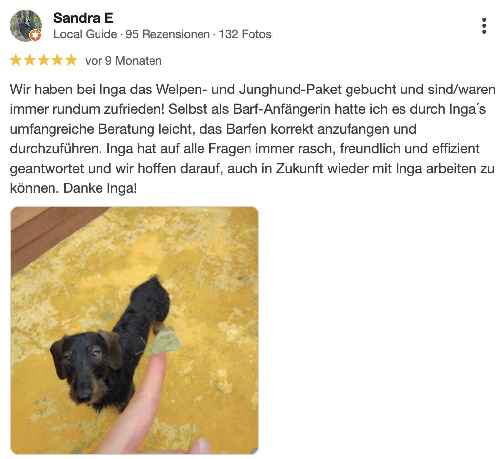 Ernährungsberatung für Hunde in Hamburg