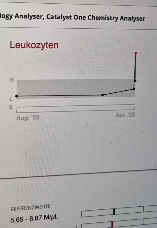 Hündin mit Gebärmutterentzündung Hündin mit Gebärmutterentzündung