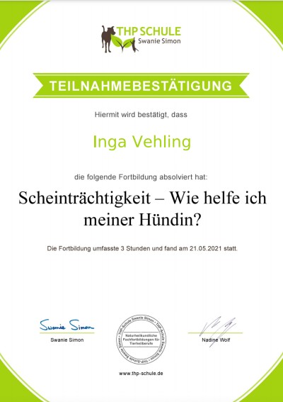 Scheinträchtigkeit der Hündin