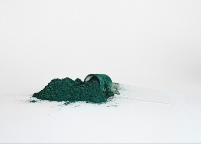 Spirulina Hund