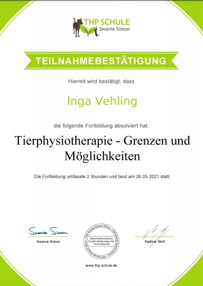 Tierphysiotherapie