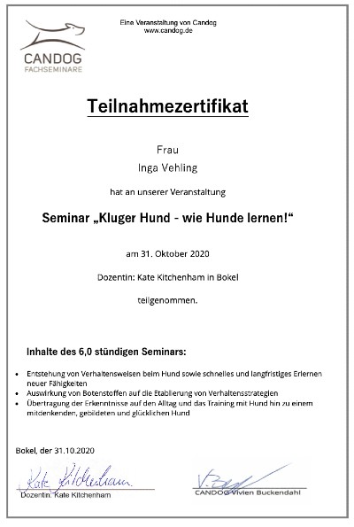Wie Hunde lernen! – Kate Kitchenham