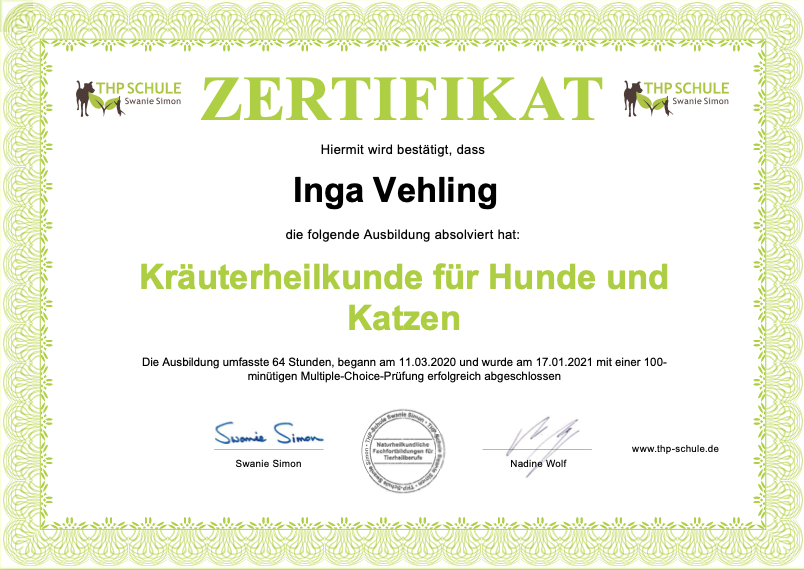 Zertifikat Kräuterheilkunde für Hunde in Hamburg